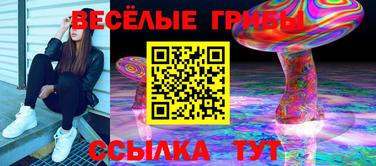 Галлюциногенные грибы ЛСД  Вход с VPN  Саратов 